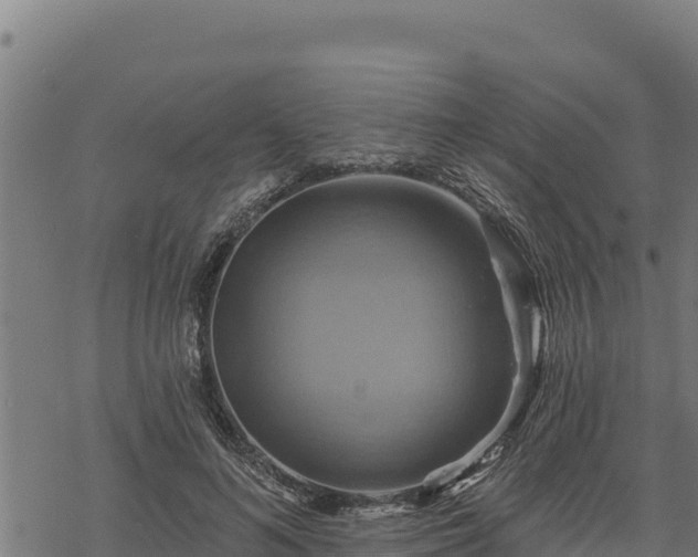 X0000068820692200605121316