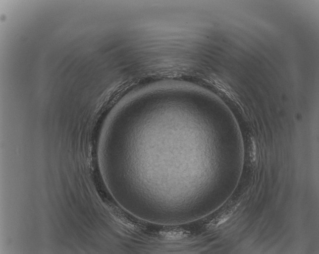 X0000068820693200605121316