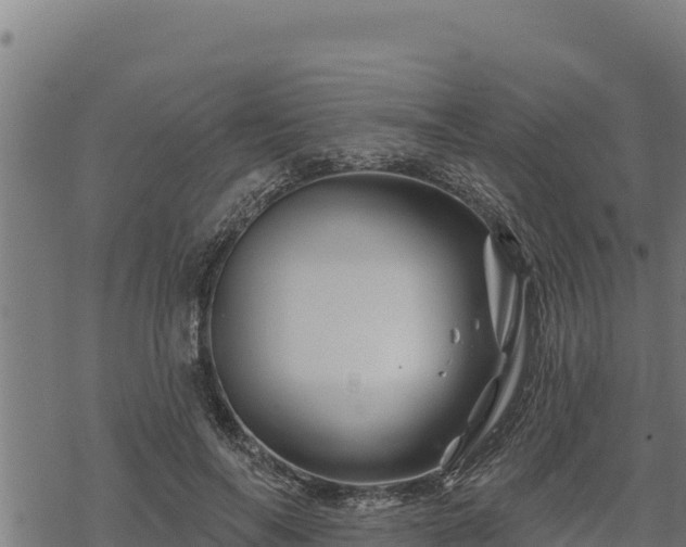 X0000068820694200605121316