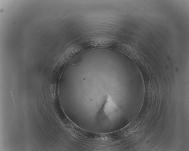 X0000068820695200605121316