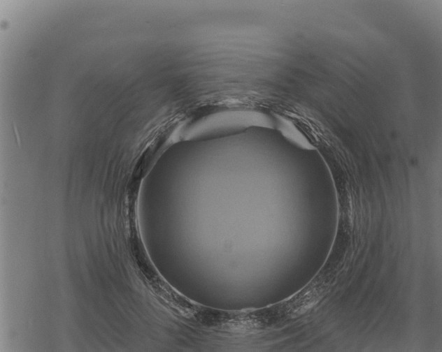 X0000068820696200605121316