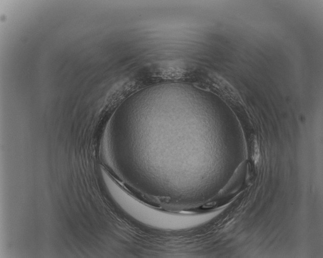 X0000068820697200605121316