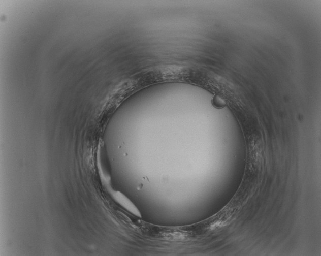 X0000068820698200605121316