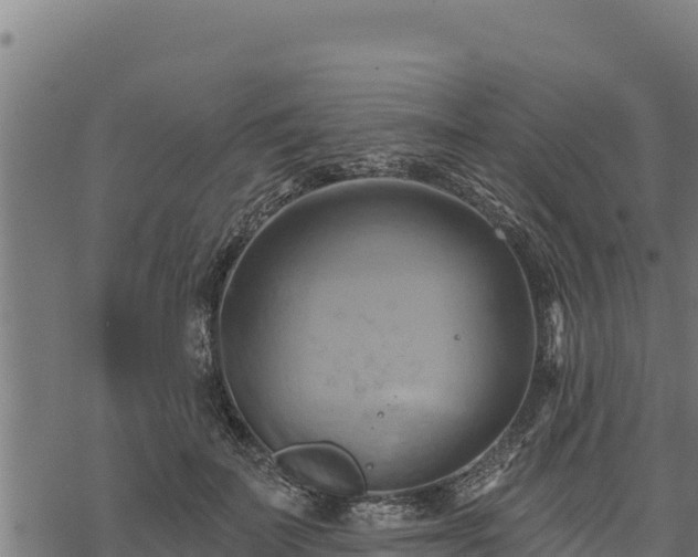 X0000068820699200605121316