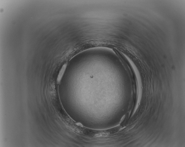 X0000068820700200605121316