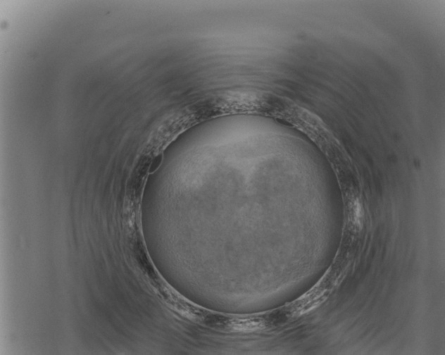 X0000068820701200605121316