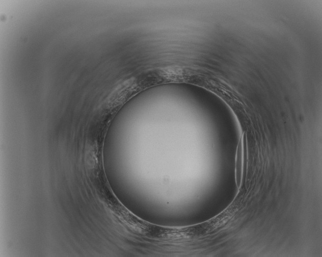 X0000068820702200605121316