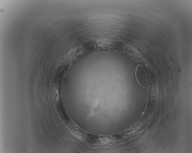 X0000068820703200605121316