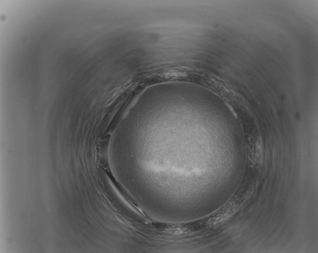 X0000068820704200605121316