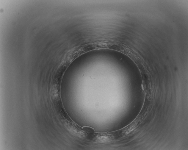 X0000068820706200605121316