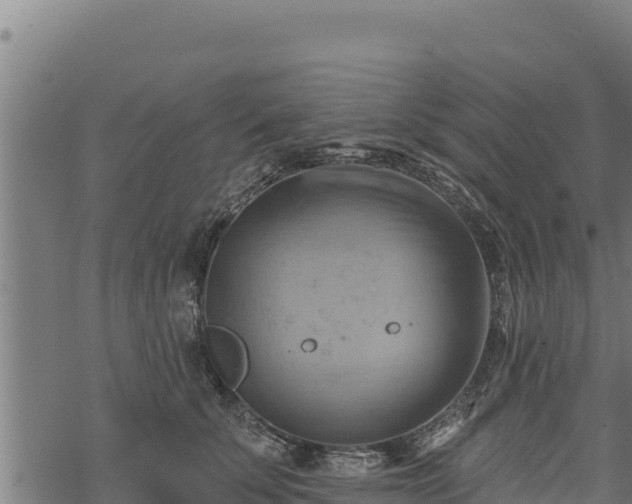 X0000068820707200605121316