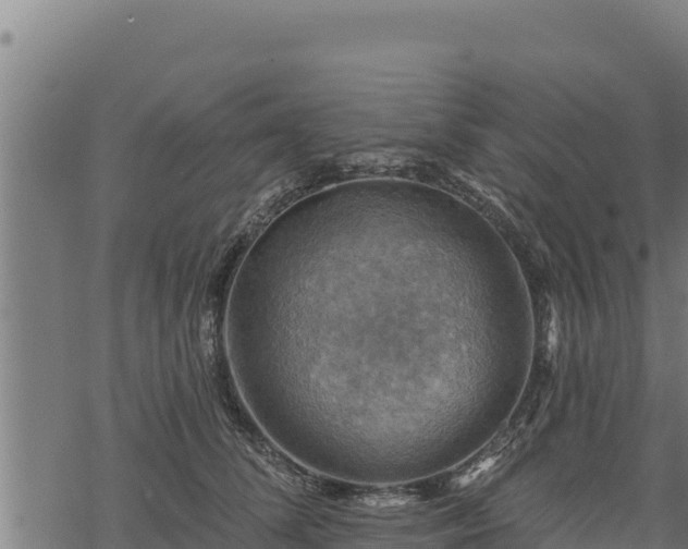 X0000068820708200605121316