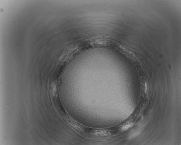 X0000068820709200605121316