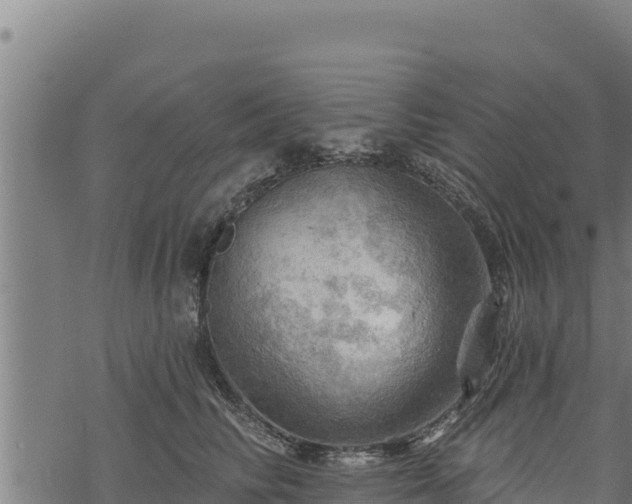 X0000068820710200605121316