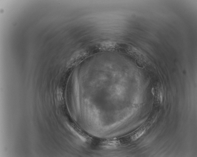 X0000068820711200605121316