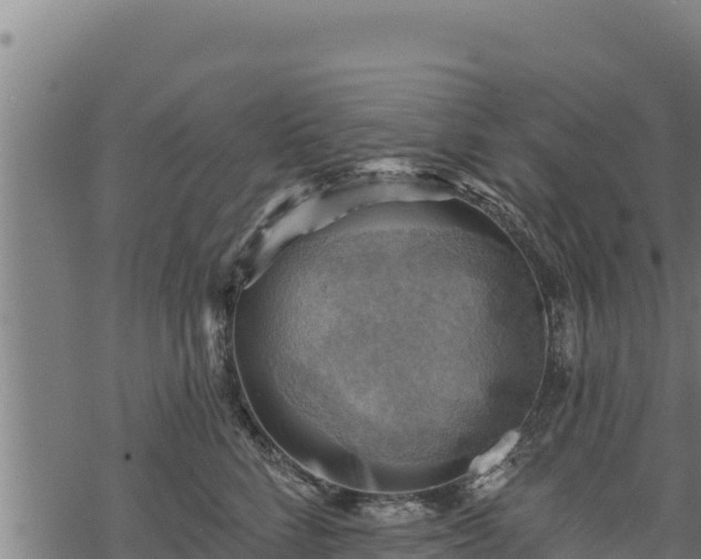 X0000068820712200605121316