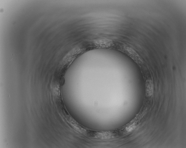 X0000068820713200605121316