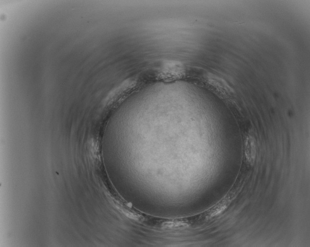 X0000068820714200605121316