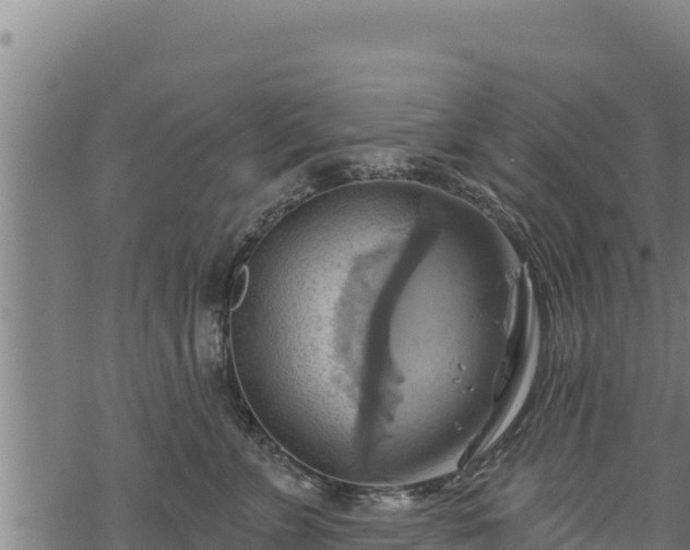 X0000068820715200605121316