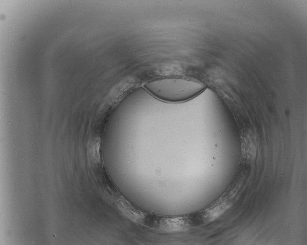 X0000068820717200605121316