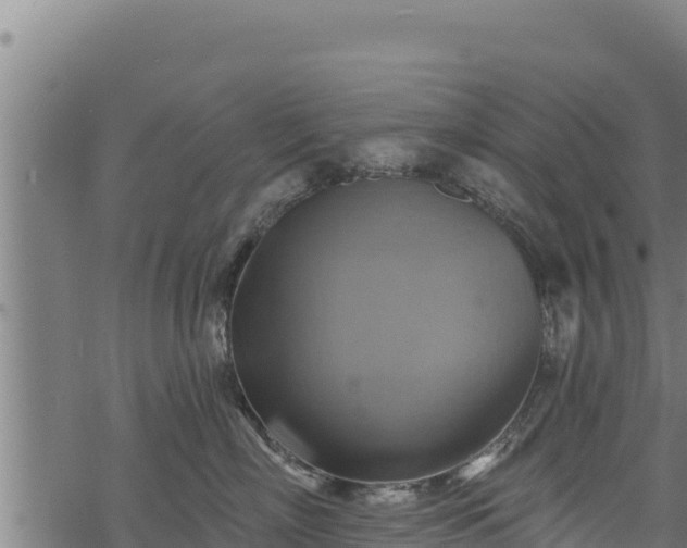 X0000068820718200605121316