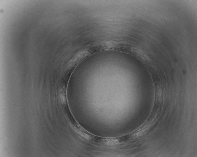 X0000068820719200605121316