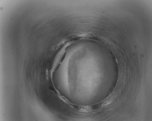 X0000068820720200605121316