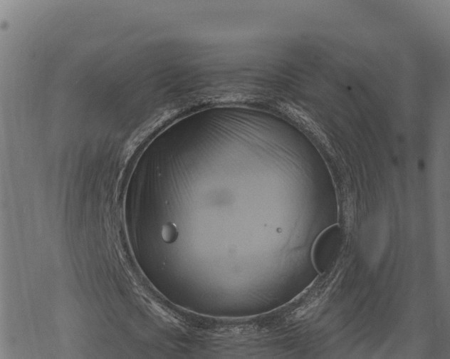 X0000068820721200605121315