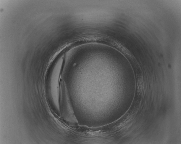 X0000068820722200605121315