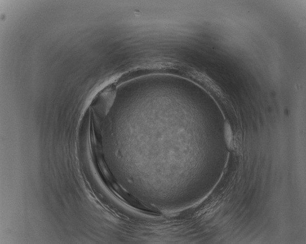 X0000068820724200605121315