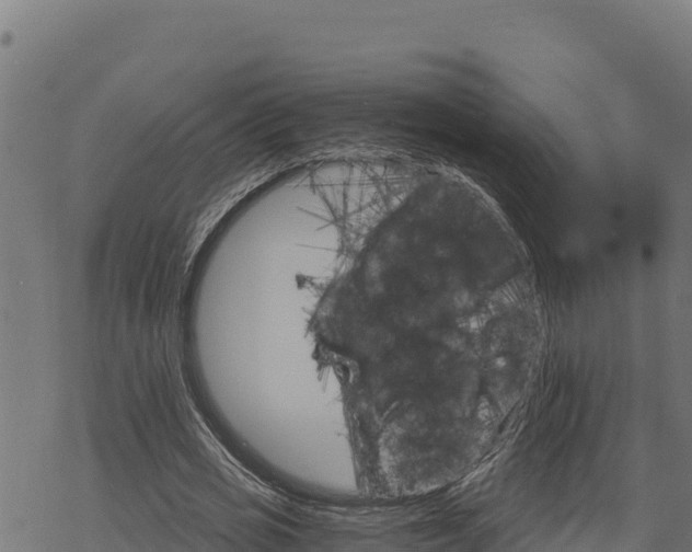 X0000068820725200605121315