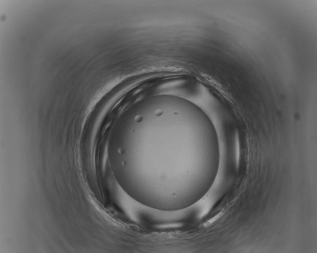 X0000068820726200605121315