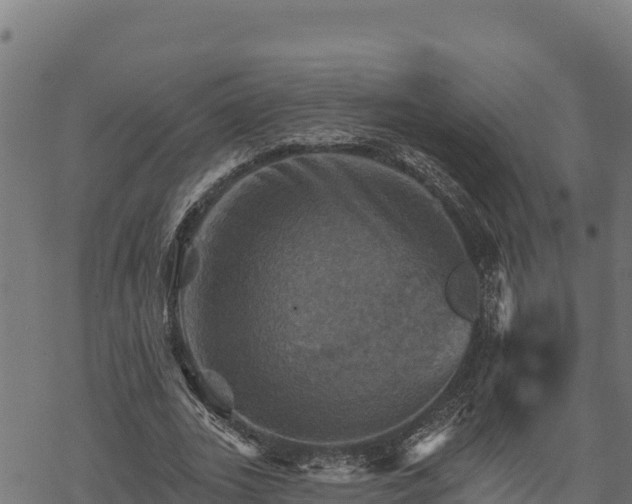 X0000068820727200605121315