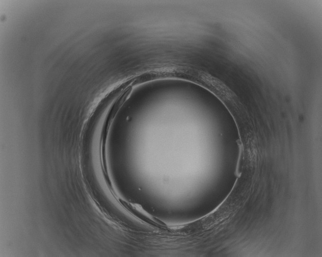 X0000068820728200605121315