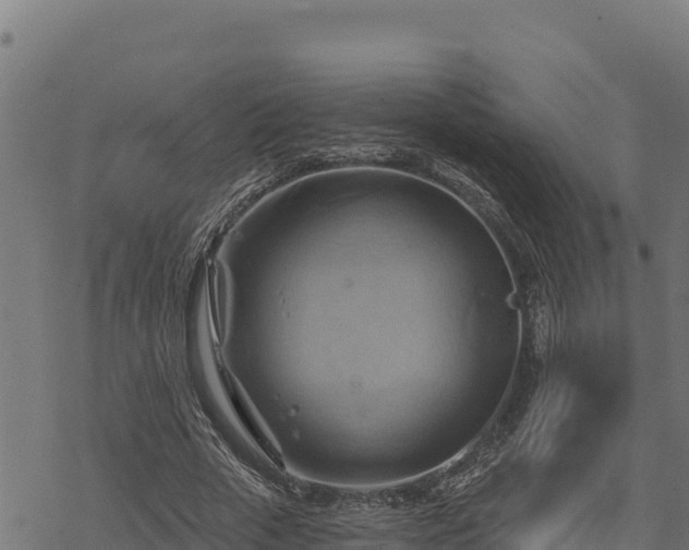 X0000068820729200605121315