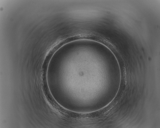 X0000068820730200605121315