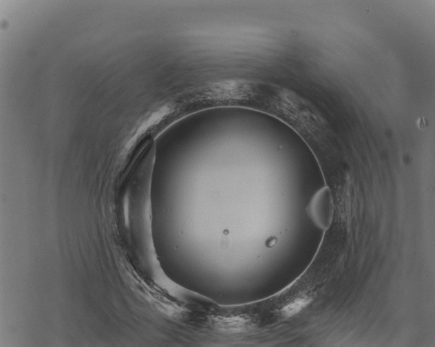 X0000068820731200605121315