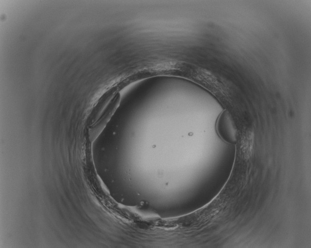 X0000068820732200605121315