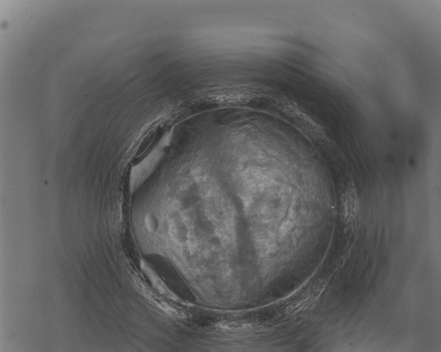 X0000068820733200605121315