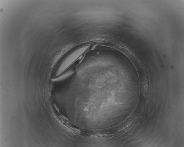 X0000068820734200605121315