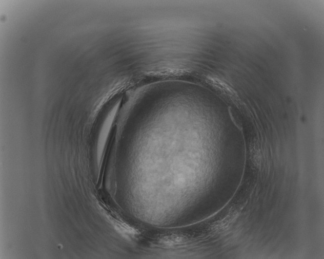 X0000068820735200605121315