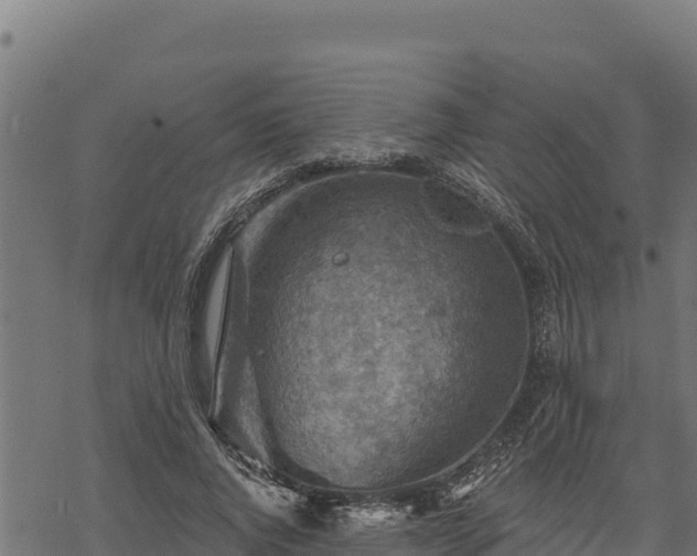 X0000068820736200605121315