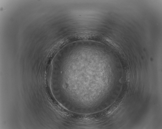 X0000068820737200605121315