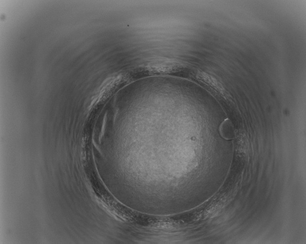 X0000068820738200605121315