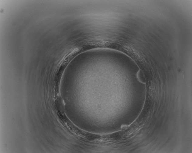 X0000068820739200605121315