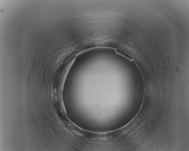 X0000068820740200605121315