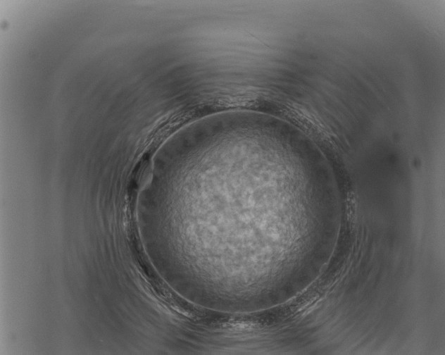 X0000068820741200605121315