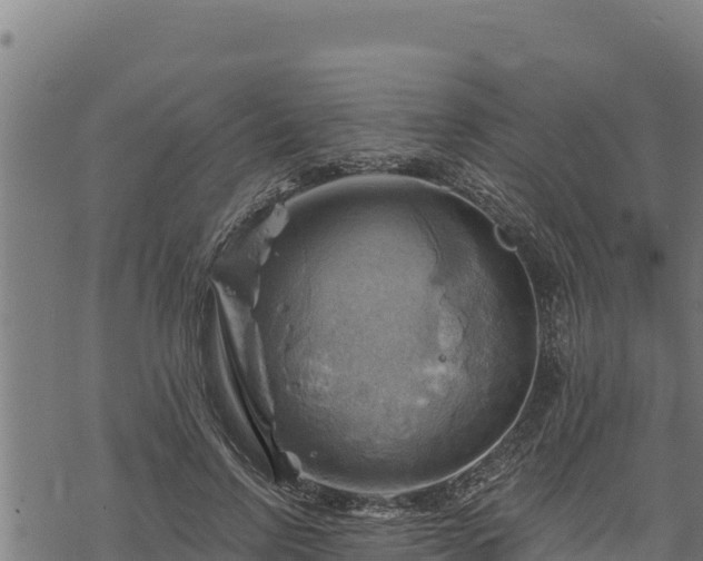 X0000068820742200605121315