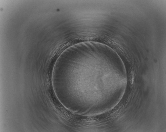 X0000068820743200605121315