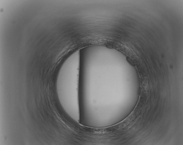 X0000068820744200605121315